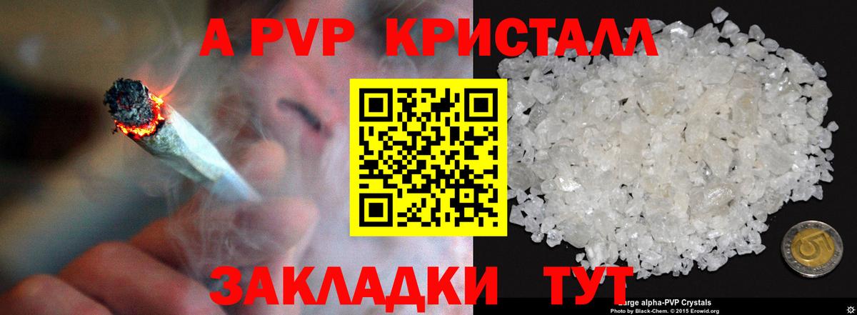A PVP крисы CK Кириши