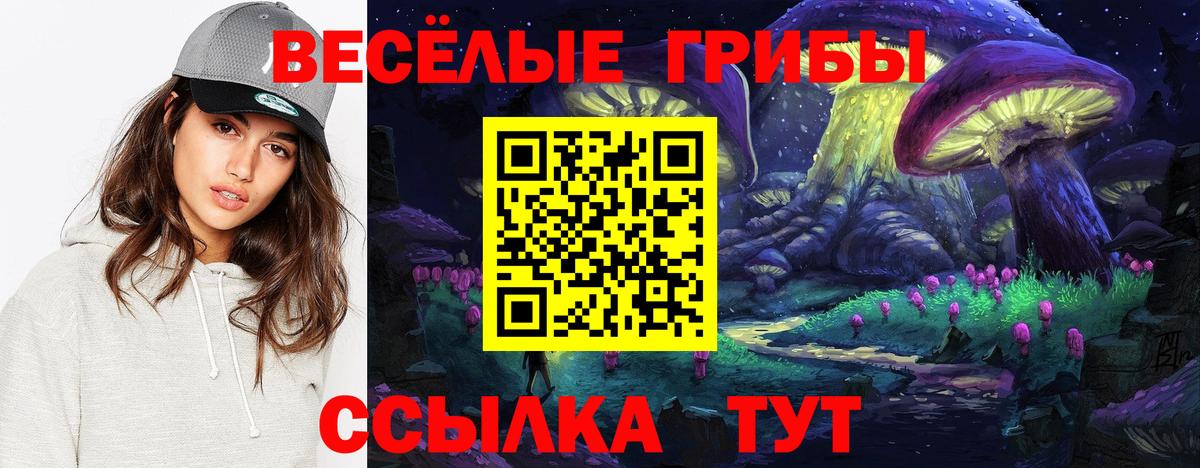 Кириши  Псилоцибиновые грибы мухоморы  Вход с VPN  Псилоцибиновые грибы прущие грибы 